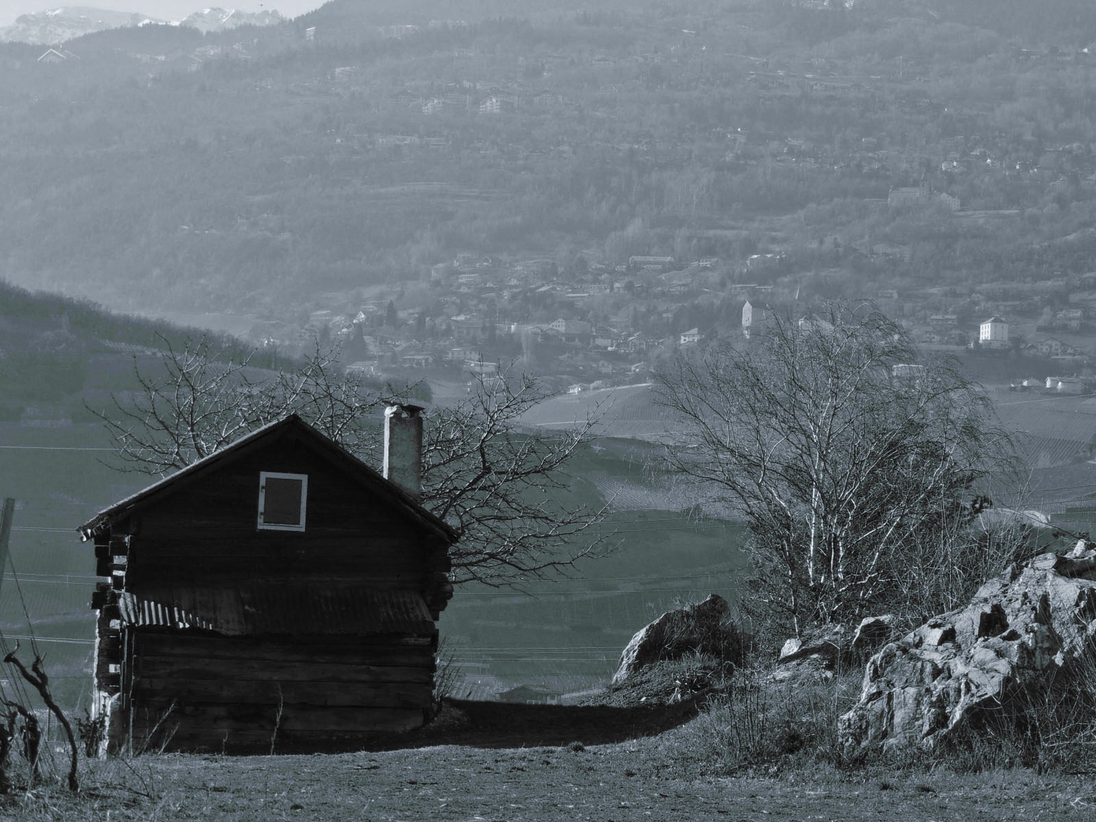 Shared Rooming Houses